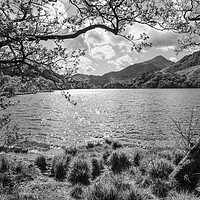 Buy canvas prints of Llyn Gwynant with sunlight sparkling on the water. Snowdonia, North Wales. by Andrew Kearton