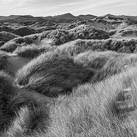 Buy canvas prints of Harlech Dunes, North Wales by Andrew Kearton