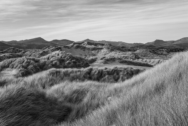 Dunes at Harlech, North Wales Picture Board by Andrew Kearton