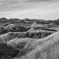 Buy canvas prints of Dunes at Harlech, North Wales by Andrew Kearton