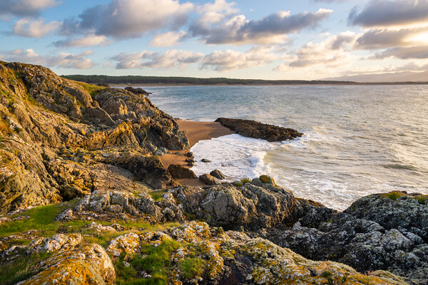 Dawn on Ynys Llandwyn, Newborough beach, Anglesey Picture Board by Andrew Kearton