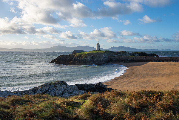 Beautiful morning on Ynys Llanddwyn, Anglesey, North Wales Picture Board by Andrew Kearton