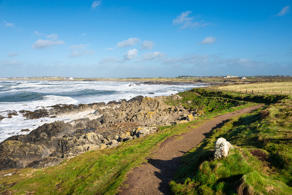 Coast path at Rhosneigr, Anglesey, Wales Picture Board by Andrew Kearton
