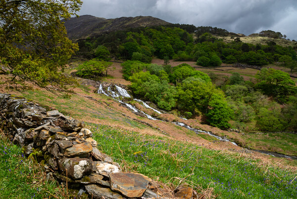 Spring in Cwm Llan, Snowdonia, Wales Picture Board by Andrew Kearton
