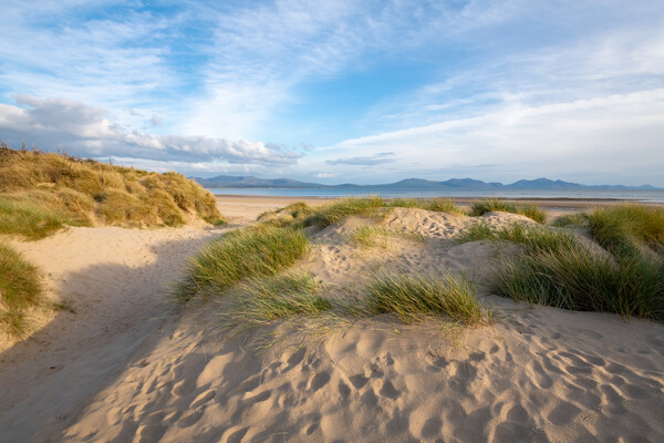 Newborough beach at sunset Picture Board by Andrew Kearton