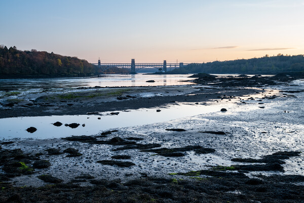 Dusk on the Menai Strait, Anglesey Picture Board by Andrew Kearton