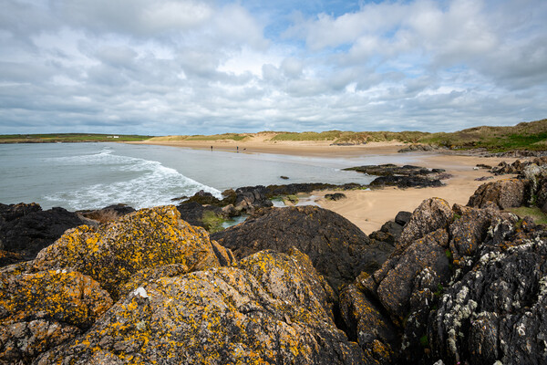 Aberffraw beach, Anglesey, North Wales Picture Board by Andrew Kearton