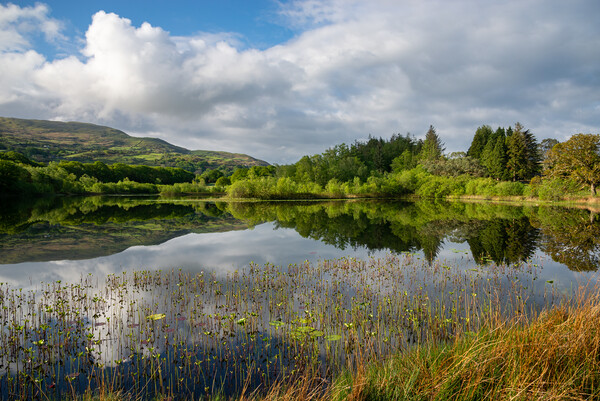 Reflections in a lake in North Wales Picture Board by Andrew Kearton