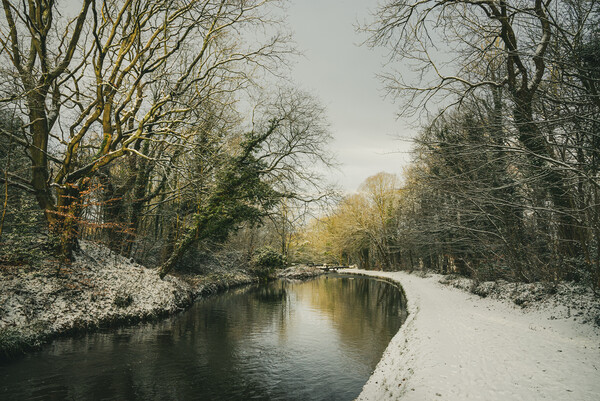 Peak Forest Canal in winter Picture Board by Andrew Kearton
