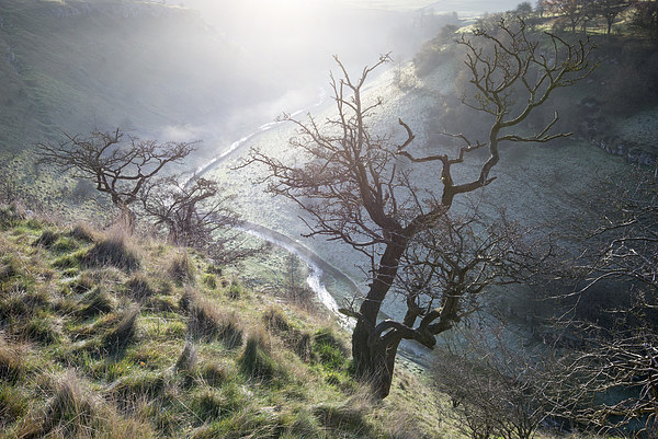  Morning mist in Lathkill Dale Picture Board by Andrew Kearton