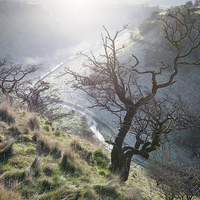 Buy canvas prints of  Morning mist in Lathkill Dale by Andrew Kearton
