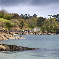 Buy canvas prints of  Durgan on the river Helford, Cornwall, England by Andrew Kearton