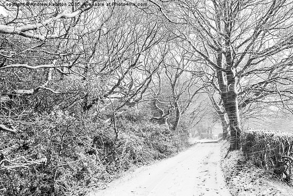  English country lane in a blizzard Picture Board by Andrew Kearton