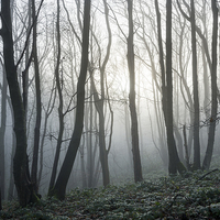 Buy canvas prints of  Silence of a winter morning by Andrew Kearton