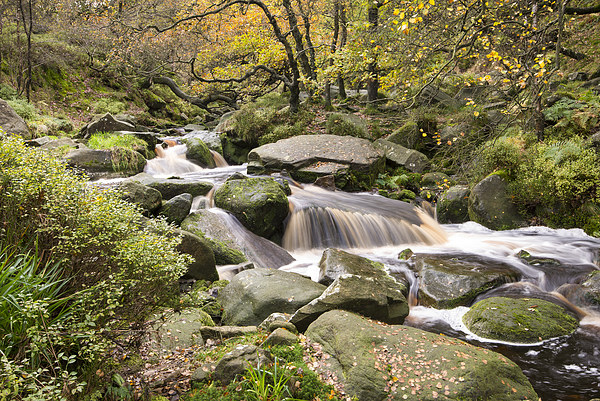  Beside a moorland stream in autumn Picture Board by Andrew Kearton