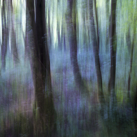 Buy canvas prints of  Colours of the woodland by Andrew Kearton