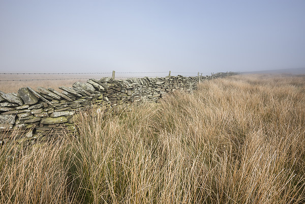  Misty morning on the moors Picture Board by Andrew Kearton