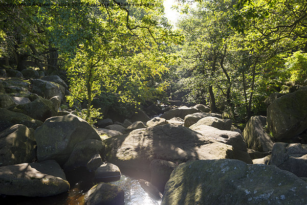  Burbage brook, Derbyshire, in October sunshine Picture Board by Andrew Kearton
