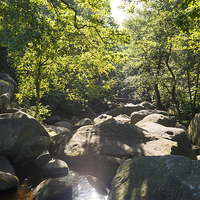 Buy canvas prints of  Burbage brook, Derbyshire, in October sunshine by Andrew Kearton