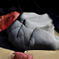 Buy canvas prints of  Sea sculpted rocks on Caerfai beach, Wales by Andrew Kearton