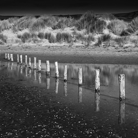 Buy canvas prints of  Posts and dunes at Borth beach, Wales by Andrew Kearton