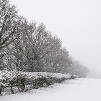 Buy canvas prints of  Snowy rural scene in the English countryside by Andrew Kearton
