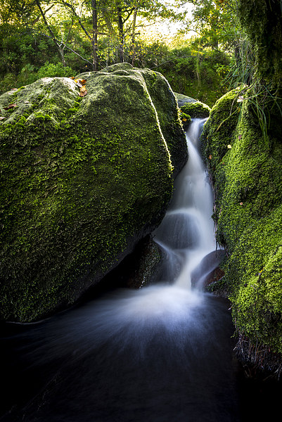  Small fall between mossy green rocks Picture Board by Andrew Kearton