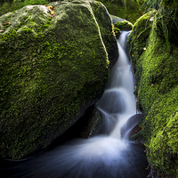 Buy canvas prints of  Small fall between mossy green rocks by Andrew Kearton
