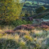 Buy canvas prints of  Colours and textures of September by Andrew Kearton
