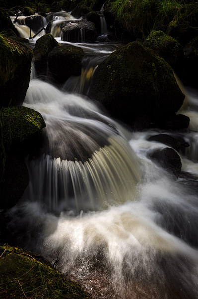  Wyming brook, Sheffield, England Picture Board by Andrew Kearton