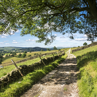 Buy canvas prints of  Rural farm track on a sunny summer day by Andrew Kearton