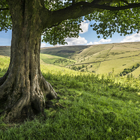 Buy canvas prints of  In the shade on a sunny day in the High Peak by Andrew Kearton