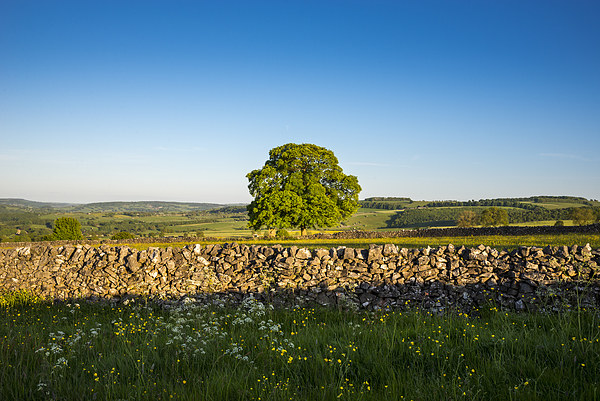 Peak District countryside in summer Picture Board by Andrew Kearton