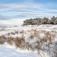 Buy canvas prints of  Snowy hills of Northern England by Andrew Kearton