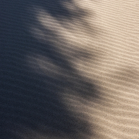 Buy canvas prints of  Shadows on the sand by Andrew Kearton