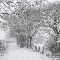 Buy canvas prints of  English country lane in the snow by Andrew Kearton