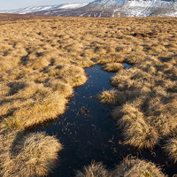 Buy canvas prints of  Winter on the moors  by Andrew Kearton