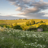 Buy canvas prints of Summer countryside by Andrew Kearton