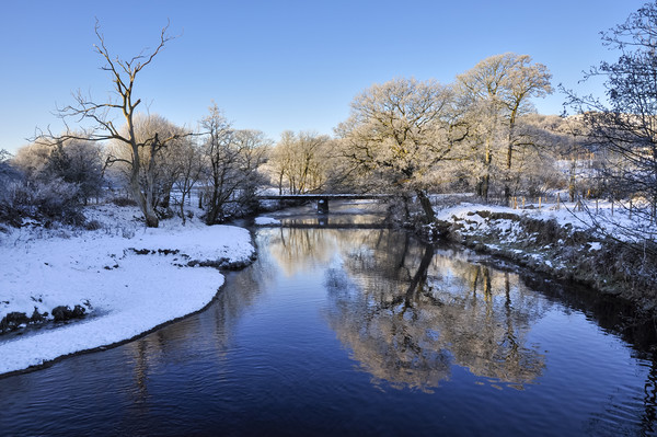 River Etherow in winter Picture Board by Andrew Kearton