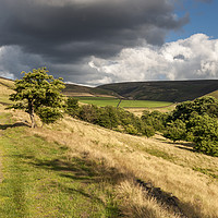 Buy canvas prints of Path to the hills by Andrew Kearton