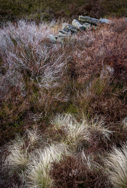 Textures in a moorland landscape Picture Board by Andrew Kearton
