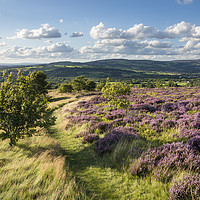 Buy canvas prints of Summer in Charlesworth, Derbyshire by Andrew Kearton