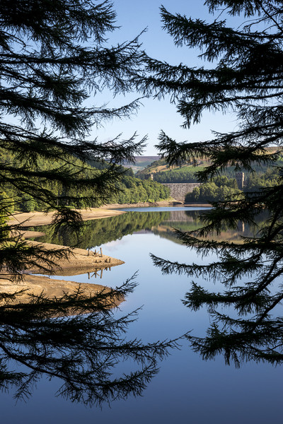 Derwent reservoir seen through the trees Picture Board by Andrew Kearton