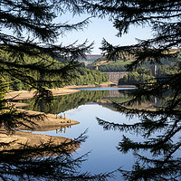 Buy canvas prints of Derwent reservoir seen through the trees by Andrew Kearton