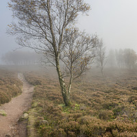 Buy canvas prints of Mist drifting over the moors by Andrew Kearton