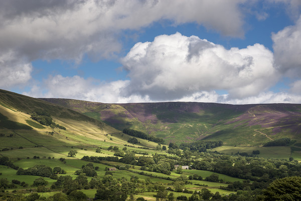 Vale of Edale in Summer Picture Board by Andrew Kearton