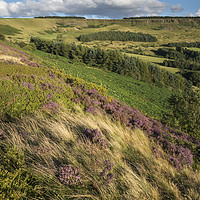 Buy canvas prints of Coombes edge in summer by Andrew Kearton