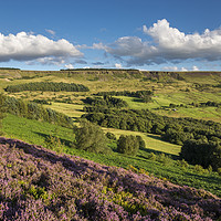 Buy canvas prints of Colourful Coombes, Charlesworth, Derbyshire by Andrew Kearton