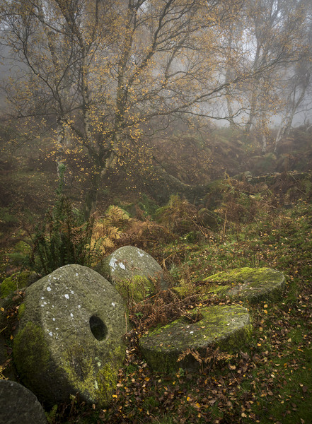 Millstones in the autumn woods Picture Board by Andrew Kearton