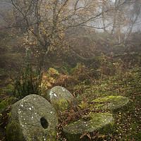 Buy canvas prints of Millstones in the autumn woods by Andrew Kearton